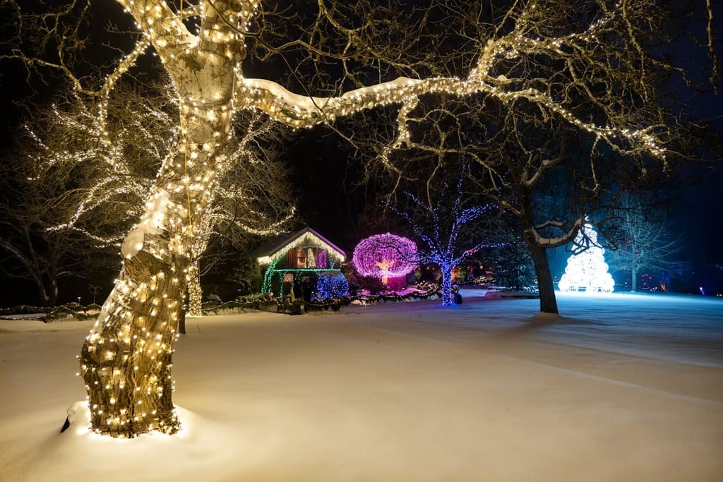 Séjour enneigé pour Noël : découvrez les destinations incontournables